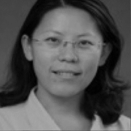 Dr Xiuli Sun